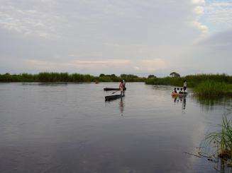 One a wide expanse of a marshy swamp, three canoes each carry several people on the water in Old Fangak, South Sudan, where MSF teams treat malaria.