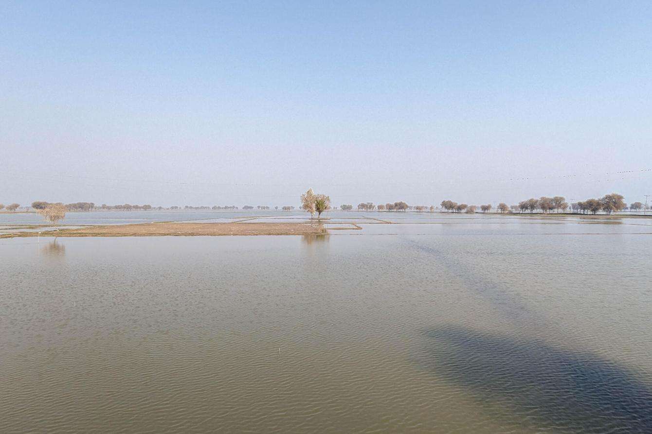A wide expanse of flood water in Dadu district, Pakistan, where MSF is running medical activities.