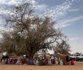 Refugees shelter under a tree in Andre, Chad. 